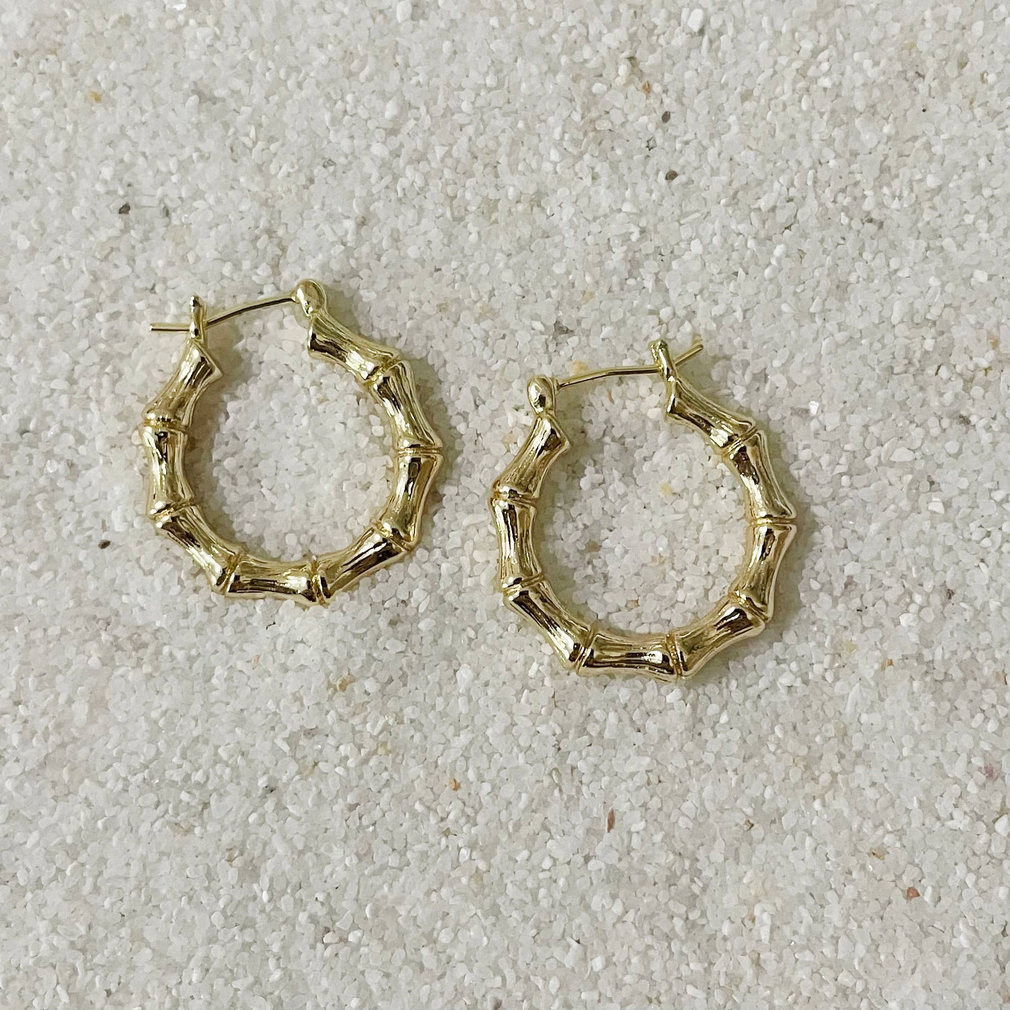 Paradise Hoop Earrings