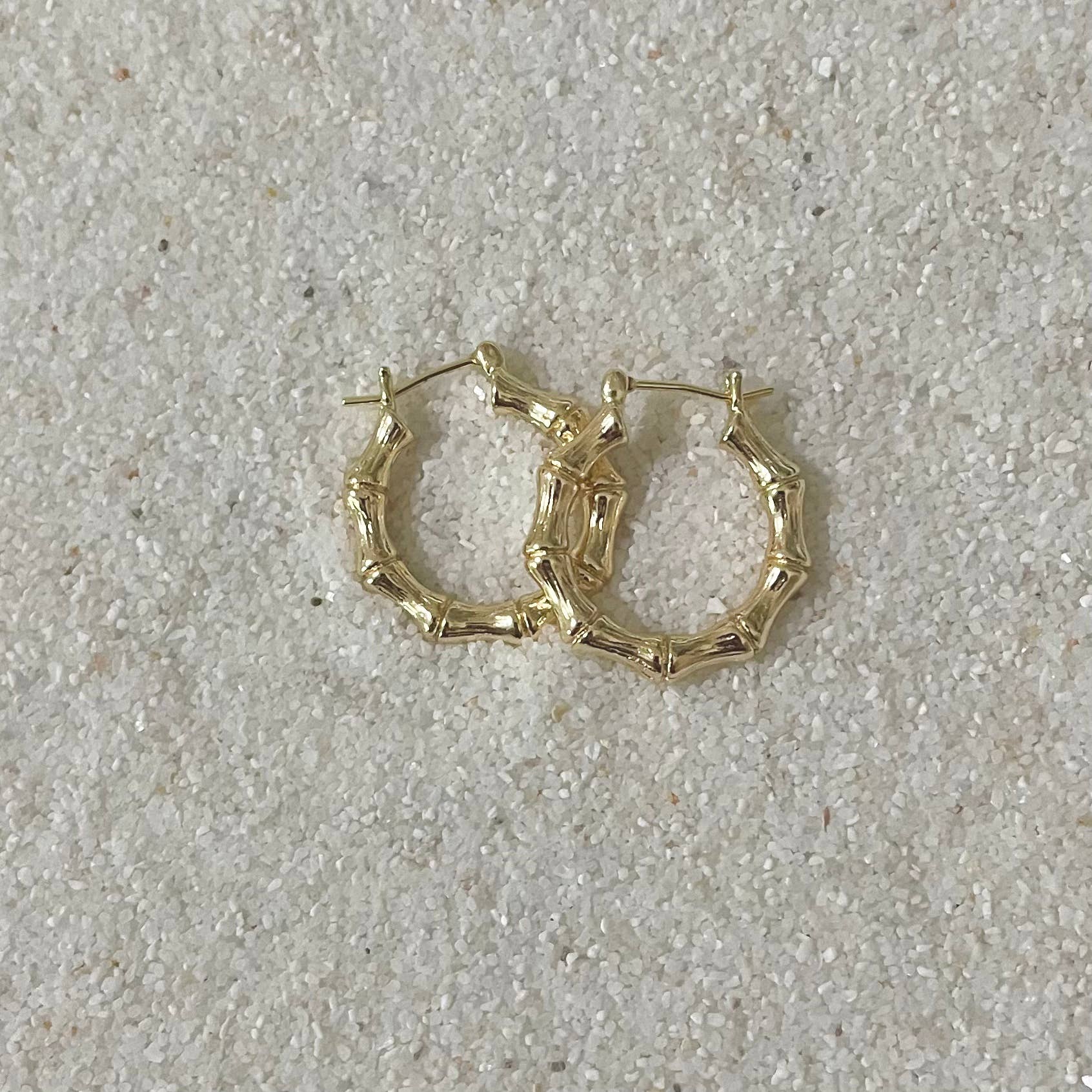 Paradise Hoop Earrings