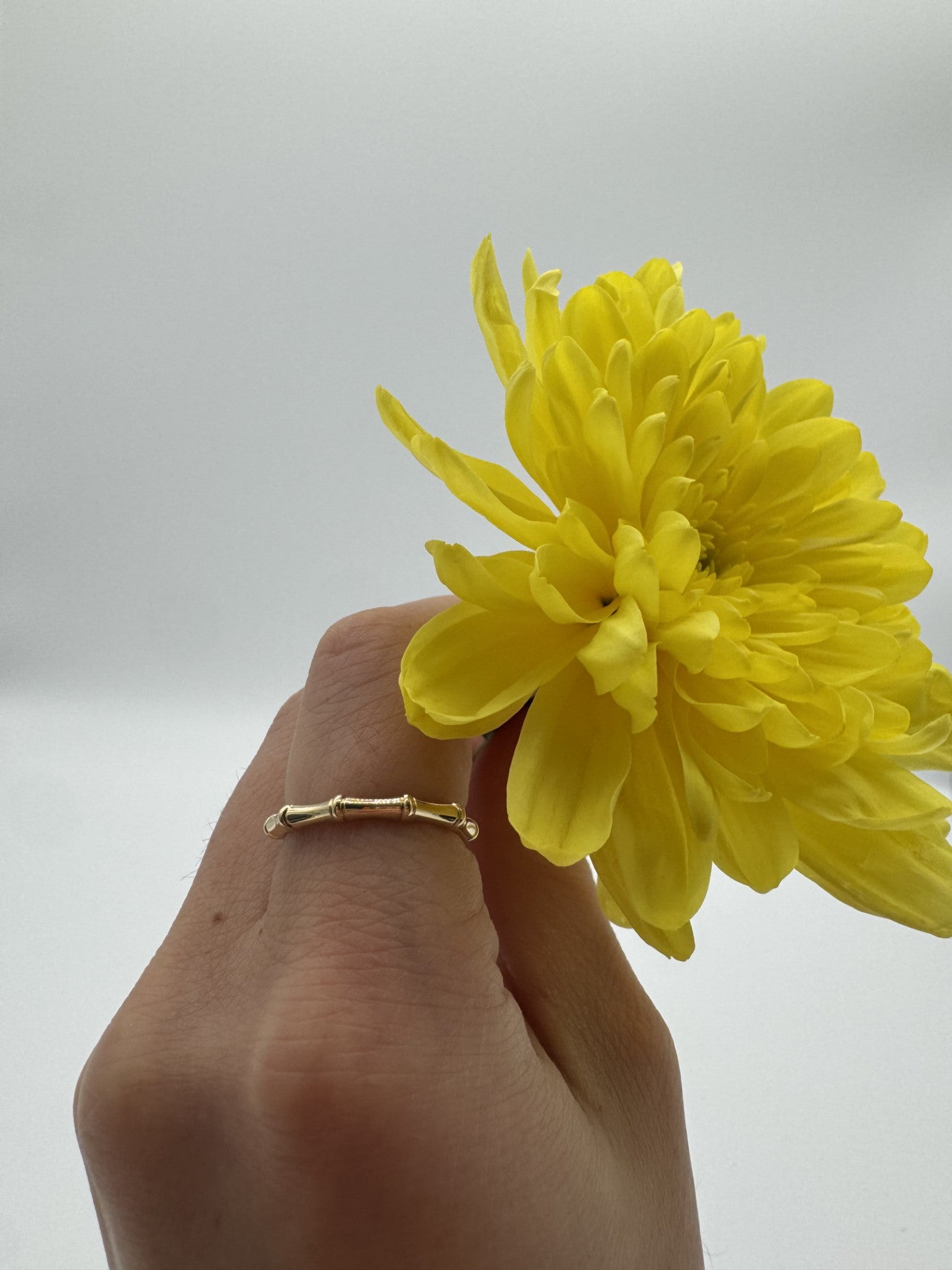 18k Gold Filled Bamboo Band Ring